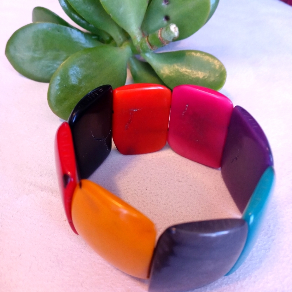 Multicolor TAGUA NUT Bracelet